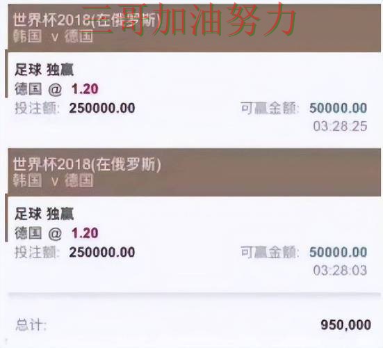 世界杯投注平台排行实录：怎么开始真实情况曝光（全球总决赛）